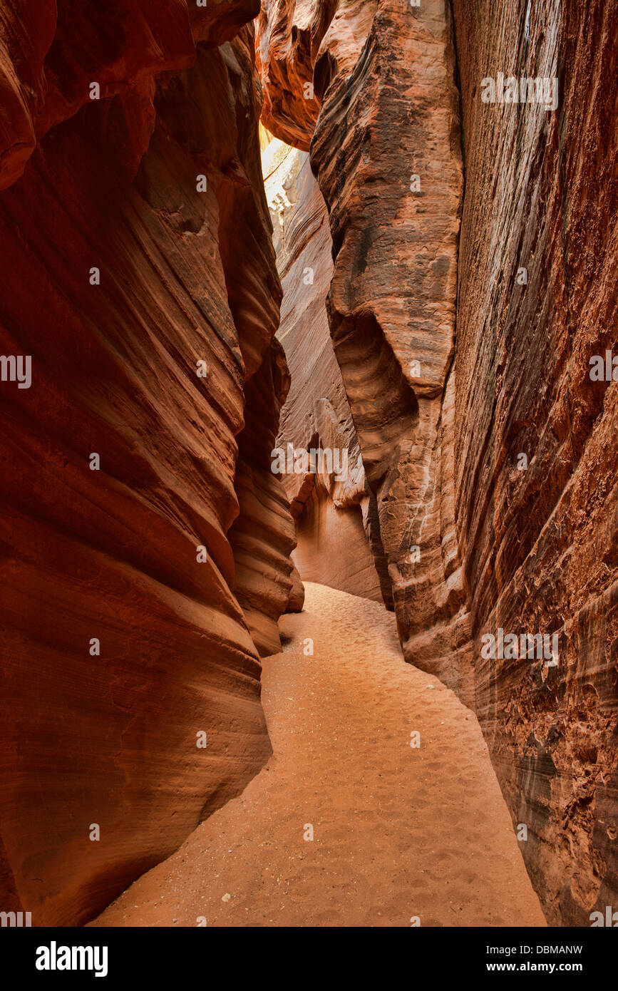 À l'intérieur du ravin de daim canyon fente, Kanab, Utah Banque D'Images