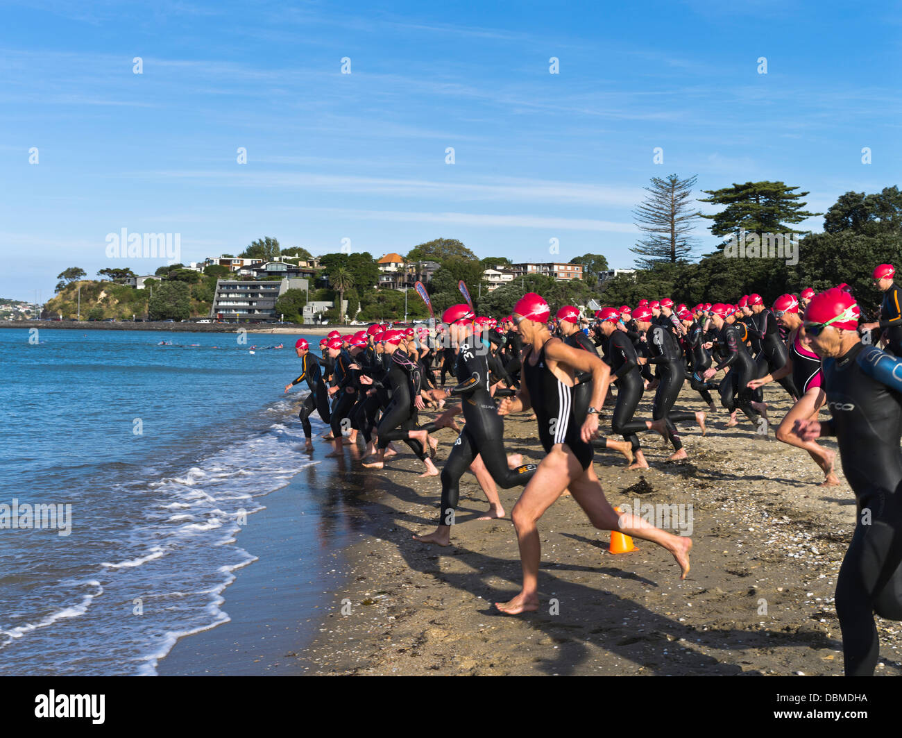 dh AUCKLAND NOUVELLE-ZÉLANDE Womens nageurs course et foulée Waitemata Les femmes du port commencent à nager triathlon zealander les gens de l'eau libre nager course Banque D'Images