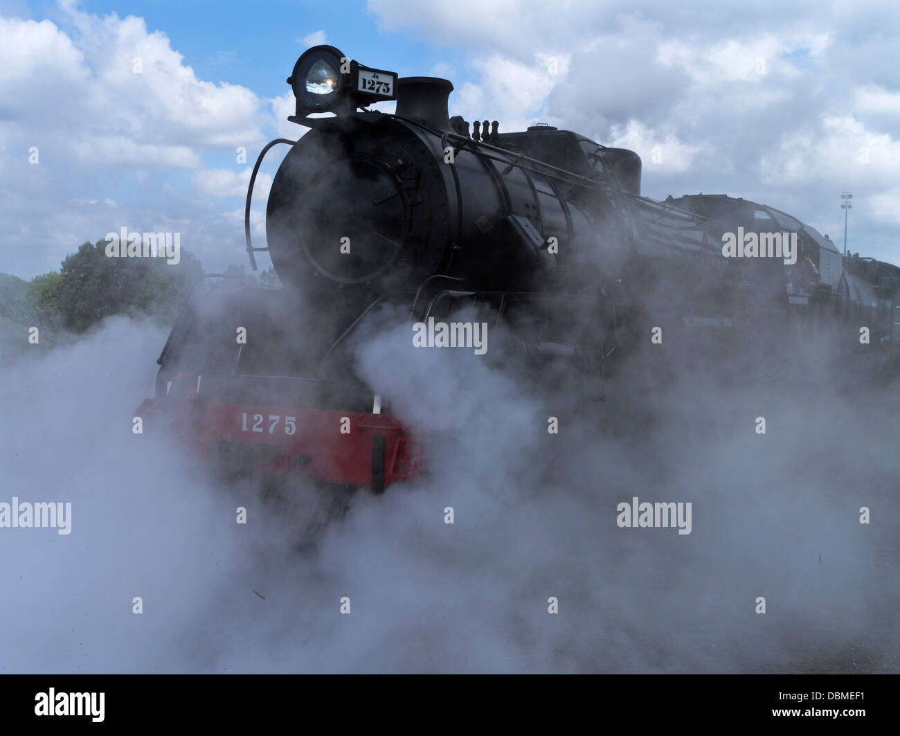 dh train à vapeur transport de l'île du Nord NOUVELLE-ZÉLANDE NZR JA 1275 classe type 4-8-2 locomotive à vapeur train train moteur d'excursion Banque D'Images