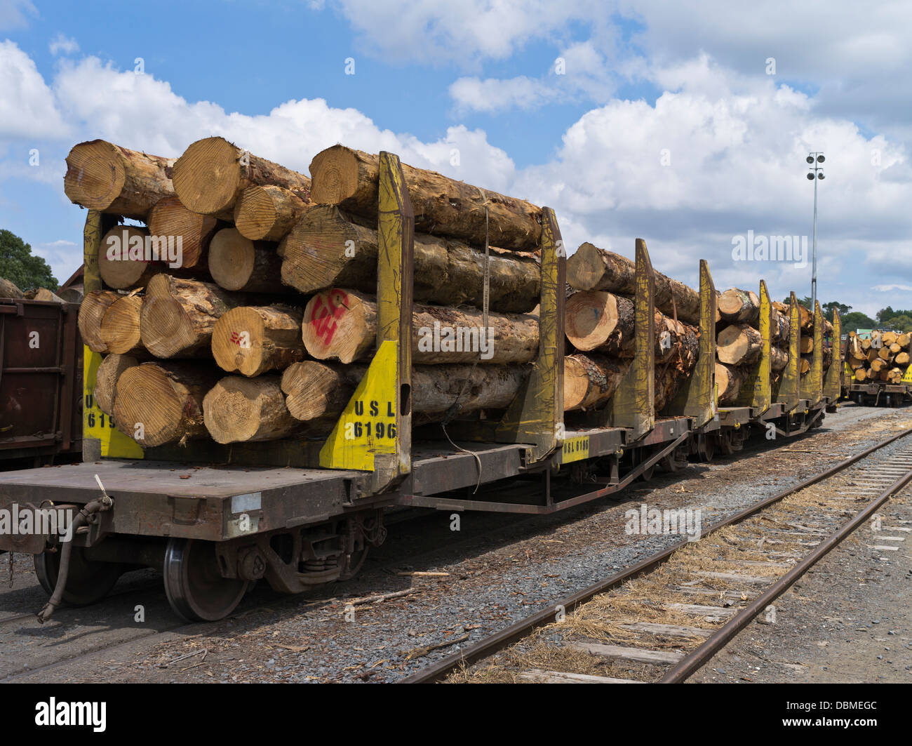 Foresterie dh Nouvelle-zélande coupé tronc de l'arbre de sciage sur camions train d'exploitation forestière Banque D'Images