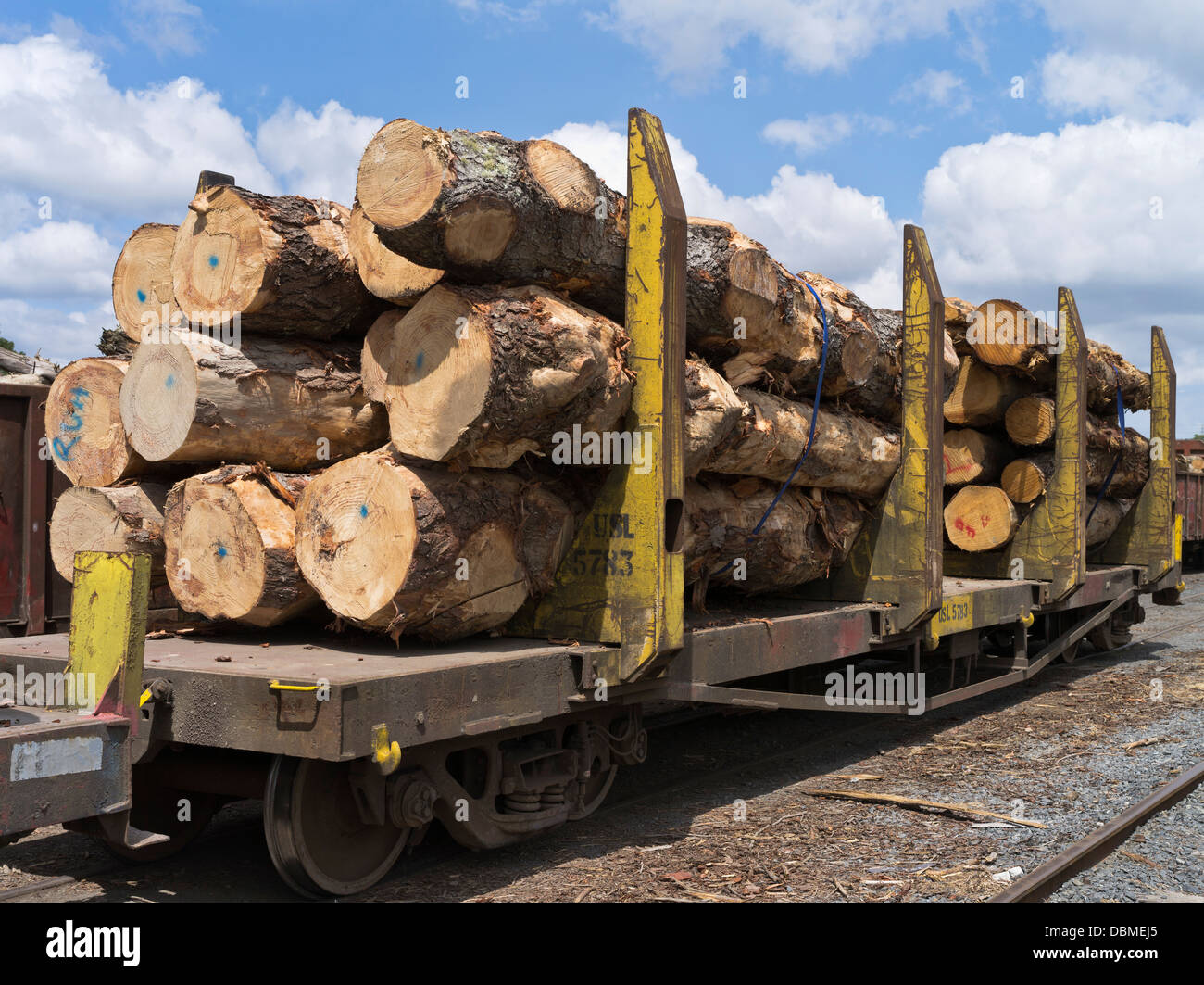 Foresterie dh Nouvelle-zélande coupé tronc de l'arbre de sciage sur camions train d'exploitation forestière Banque D'Images