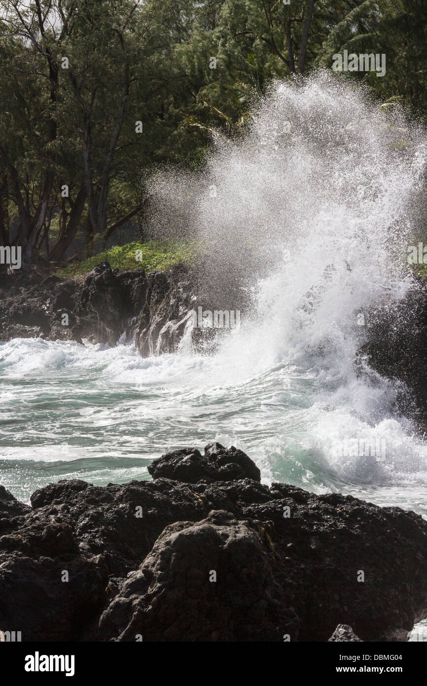 Plage et l'océan vagues à Keanae Peninsula, sur l'île de Maui à Hawaii. Banque D'Images