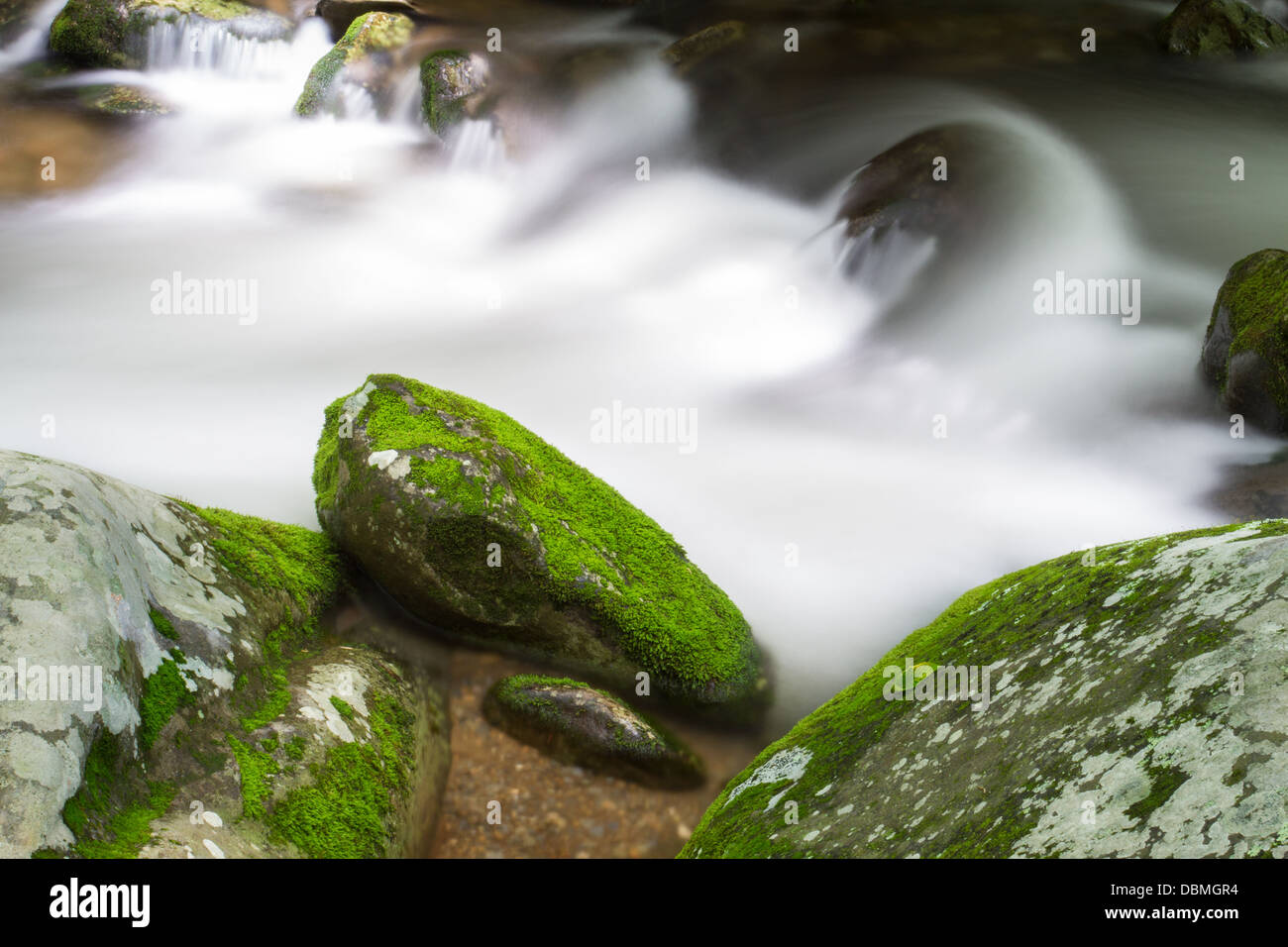 Fourches Sentier moteur rugissant dans les Great Smoky Mountains Banque D'Images