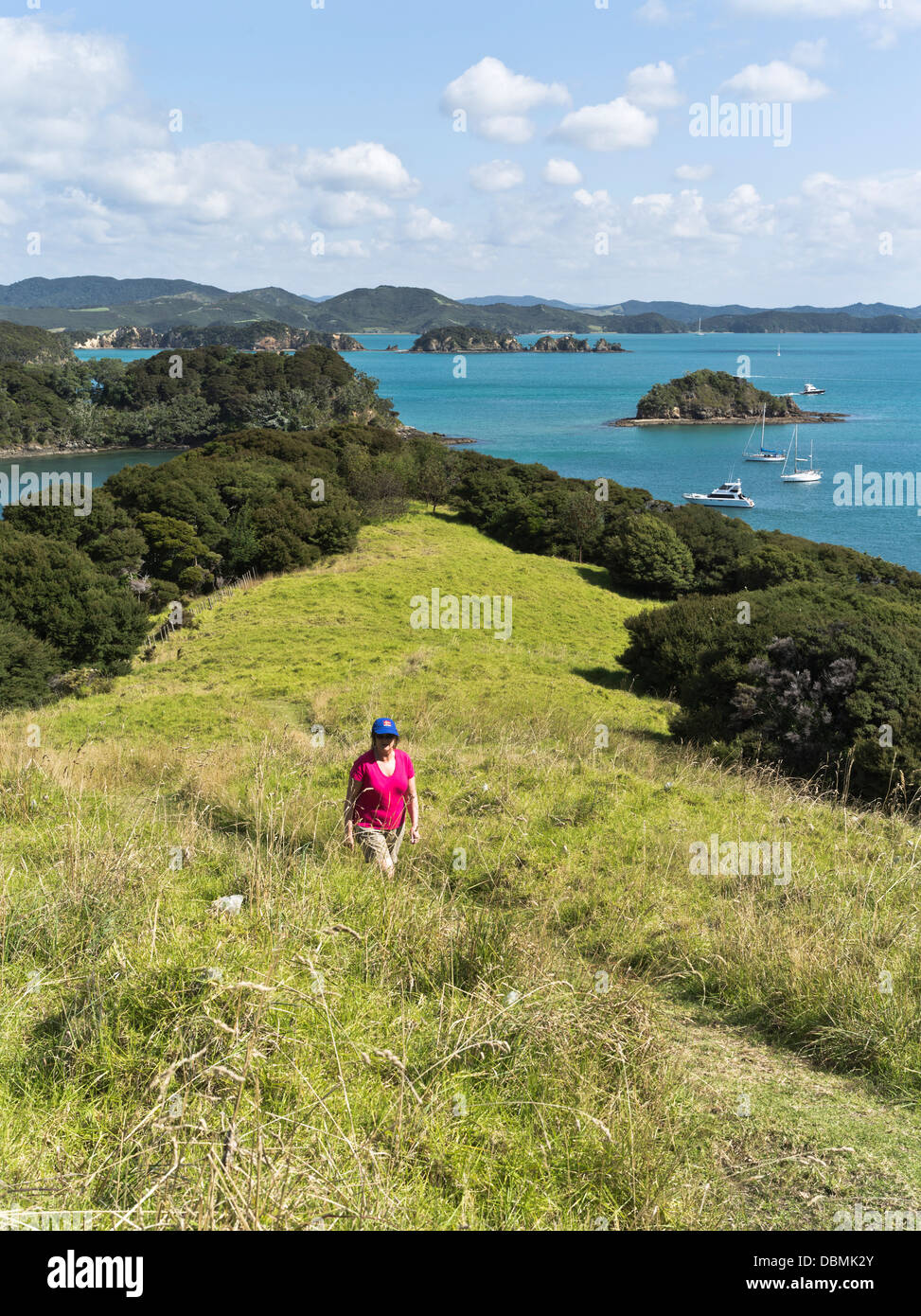 Dh Urupukapuka Island BAY OF ISLANDS NOUVELLE ZÉLANDE touriste marcher sentier découverte de l'île Banque D'Images
