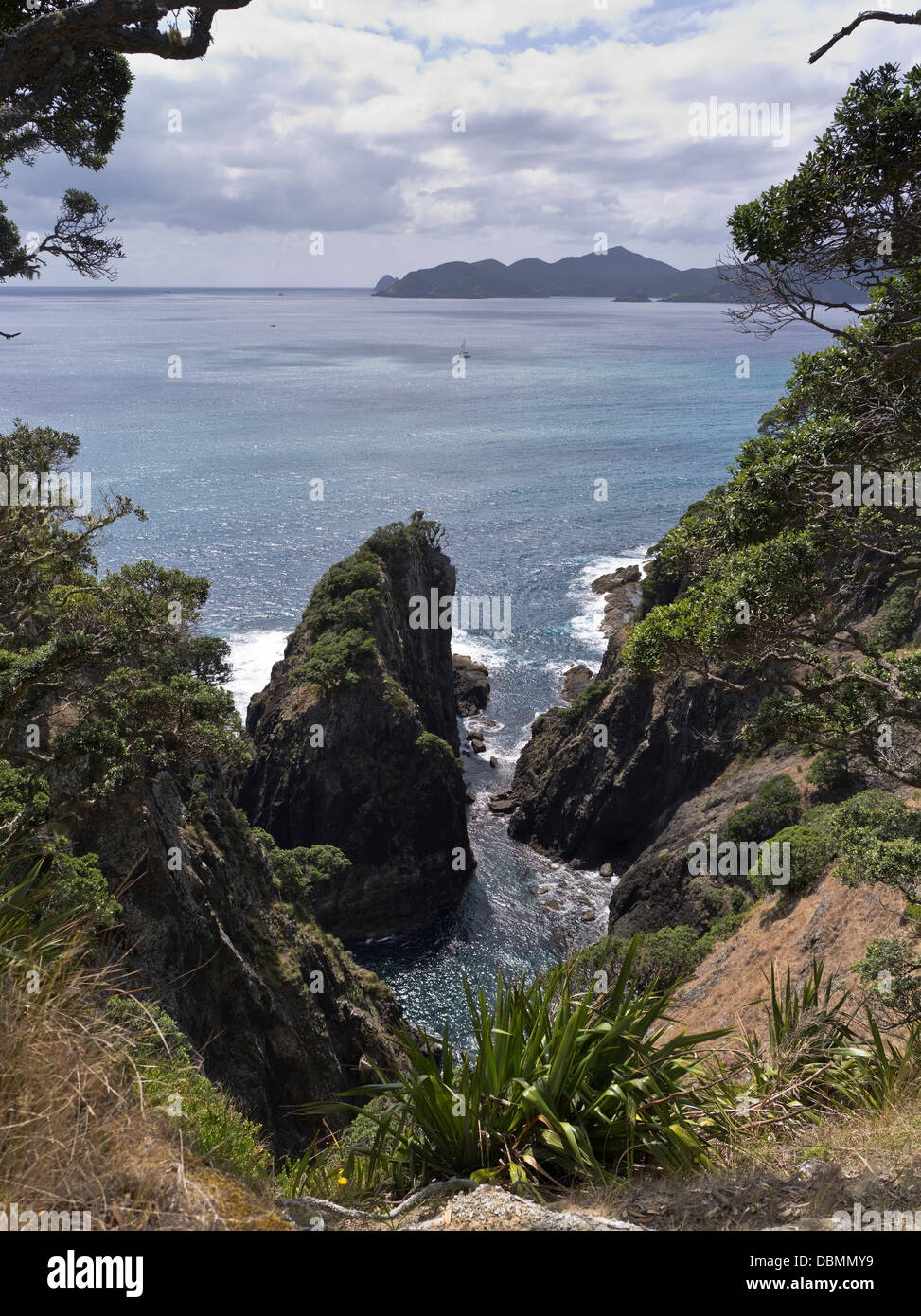 Dh Urupukapuka Island BAY OF ISLANDS NOUVELLE ZÉLANDE vue panoramique de la côte escarpée de l'île sauvage Banque D'Images
