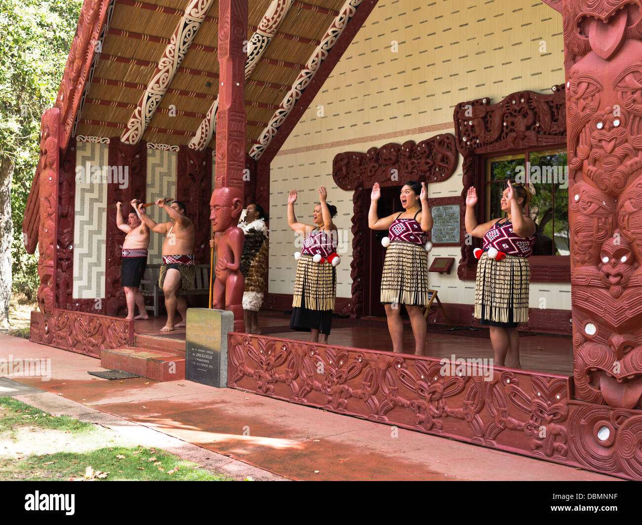 dh Waitangi Traité Grounds BAIE DES ÎLES NOUVELLE-ZÉLANDE Nouvelle-ZÉLANDE Maoris salutation te Whare Runanga maori haka bienvenue les gens marae performances traditionnelles Banque D'Images