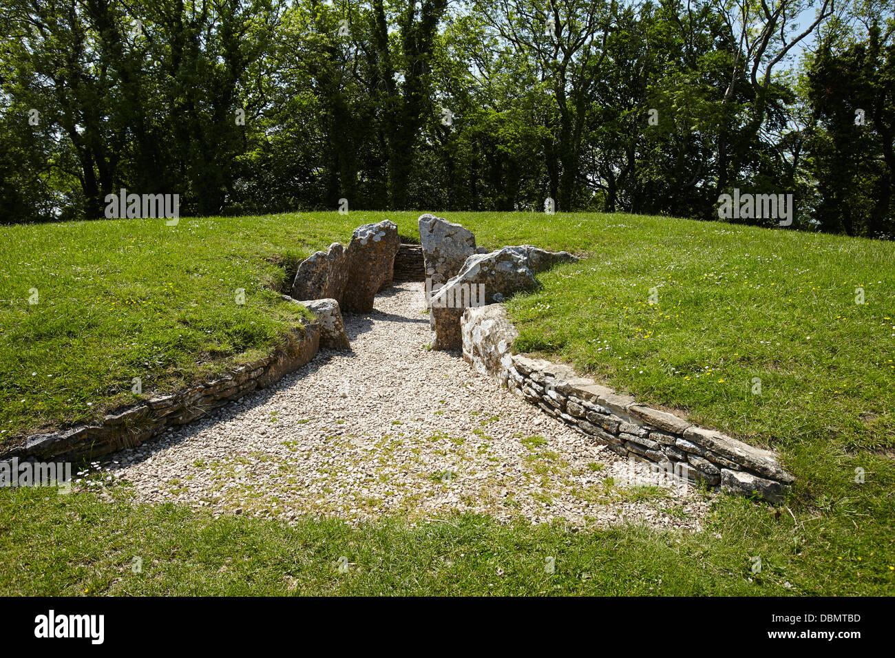 Nympsfield Long Barrow près de Stroud, Gloucestershire, England, UK Banque D'Images