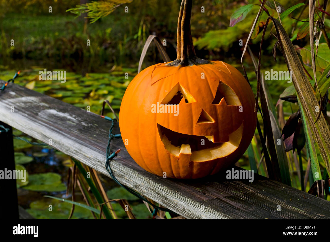 Un joyeux Halloween citrouille sculptée sur l'affichage dans le jardin. Jack-O-Lantern. Banque D'Images