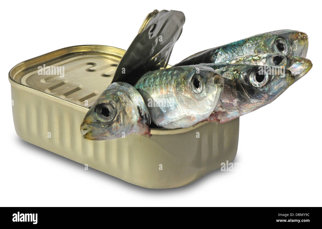 Les sardines isolé sur fond blanc Banque D'Images