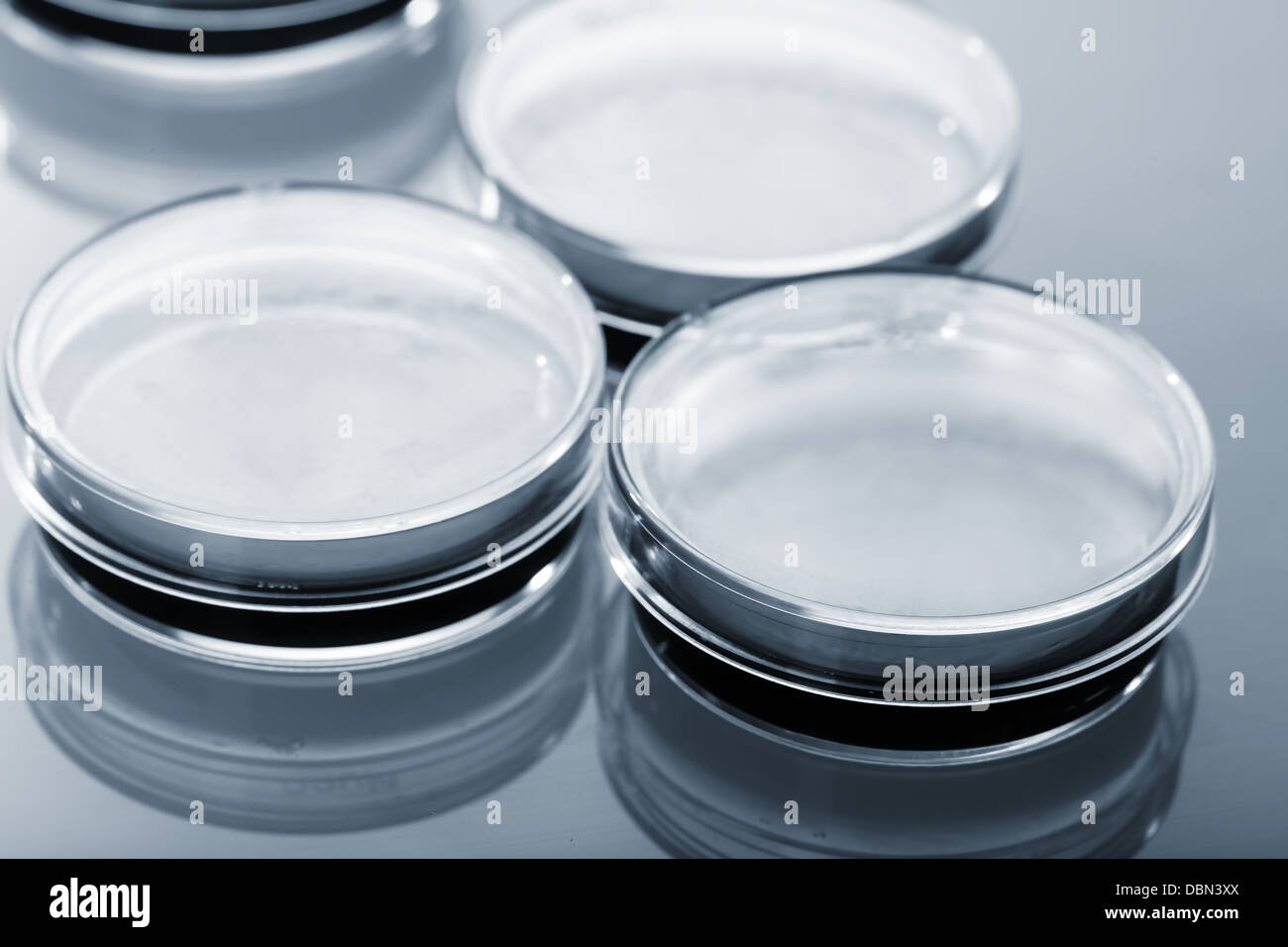 Pétri sur une table en verre Banque D'Images