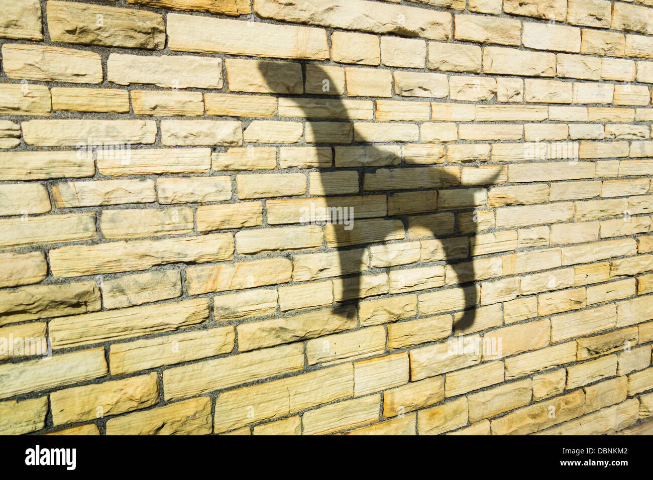 Ballon en forme de chien ombre projetée sur un mur de briques de grès Banque D'Images