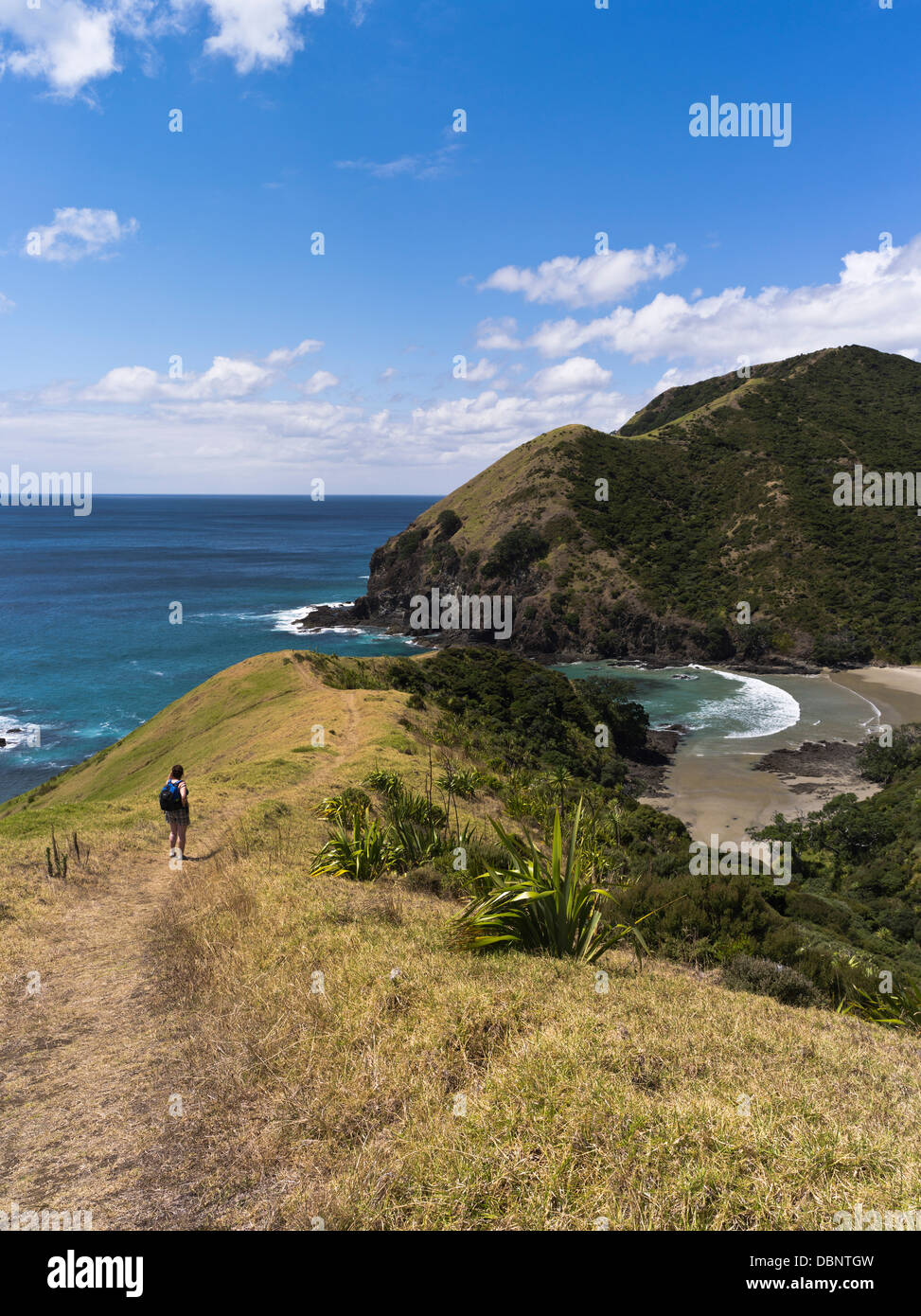 dh Sandy Bay CAPE REINGA NOUVELLE-ZÉLANDE femme touriste marchant Sentier Aupouri Peninsula côte des falaises de mer randonnée personnes sentier randonnée pittoresque Banque D'Images