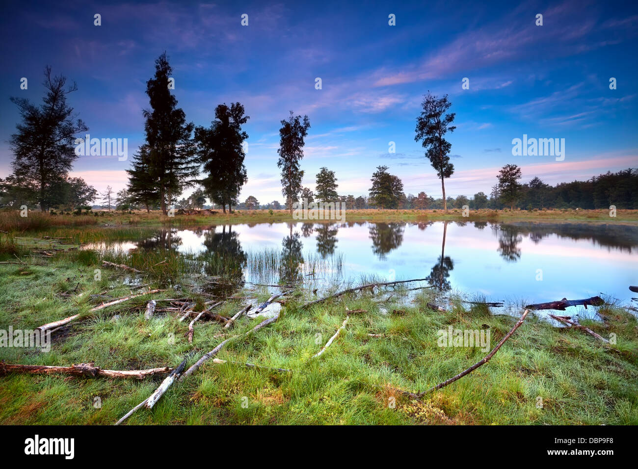 Lever du soleil sur le lac peu sauvage, Drents-Friese Wold, Pays-Bas Banque D'Images