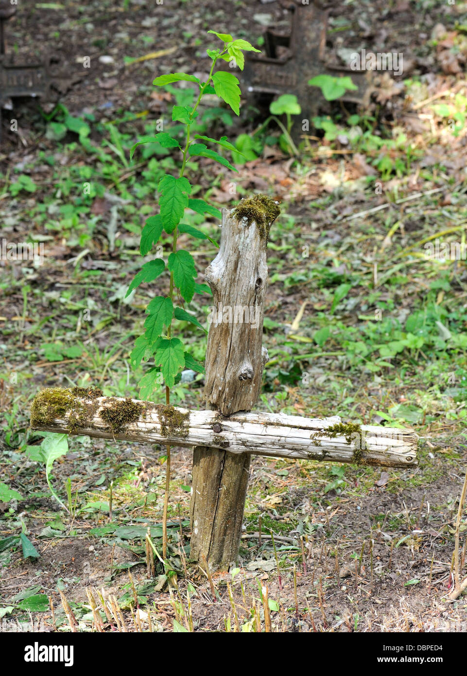 Vieille croix chrétienne sur un cimetière Banque D'Images