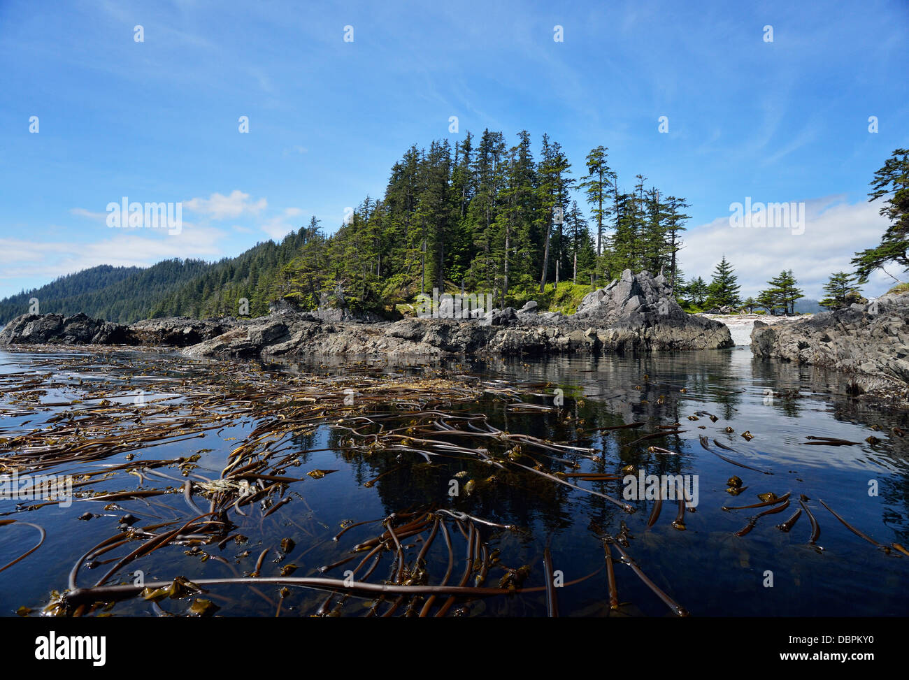 Point de Poole côte rocheuse avec des lits de varech Haida Gwaii Haanas Gwaii Queen Charlotte Islands NP British Columbia Canada Banque D'Images