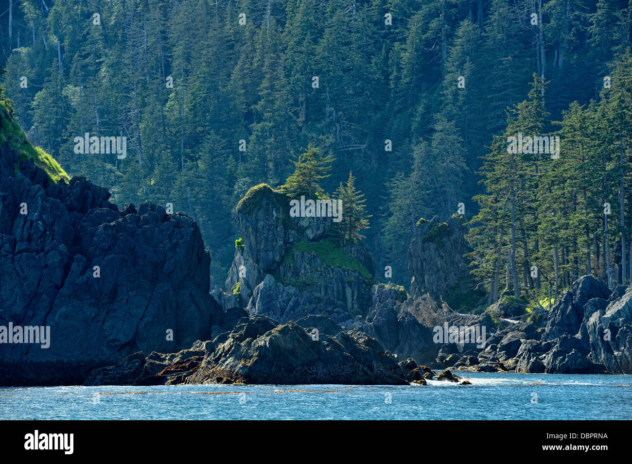 Rive rocheuse de l'île South Moresby Haida Gwaii Haanas Gwaii Queen Charlotte Islands NP British Columbia Canada Banque D'Images