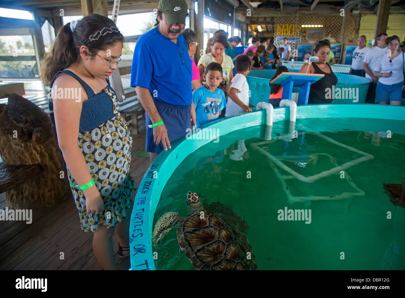 Sea Turtle Rescue Center Banque D'Images