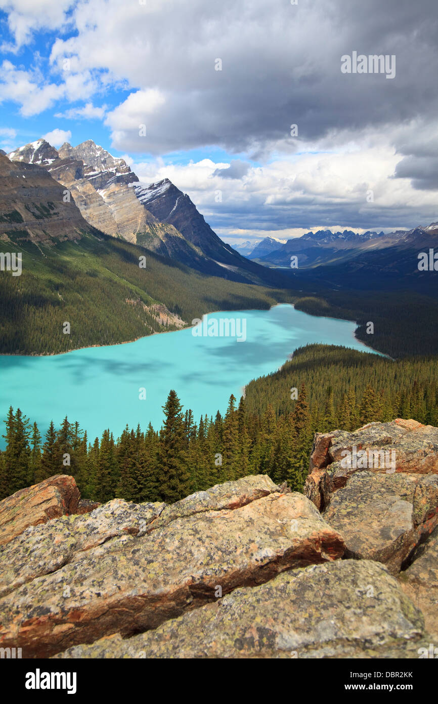 Le lac Peyto au sommet Bow à Banff, Alberta Banque D'Images