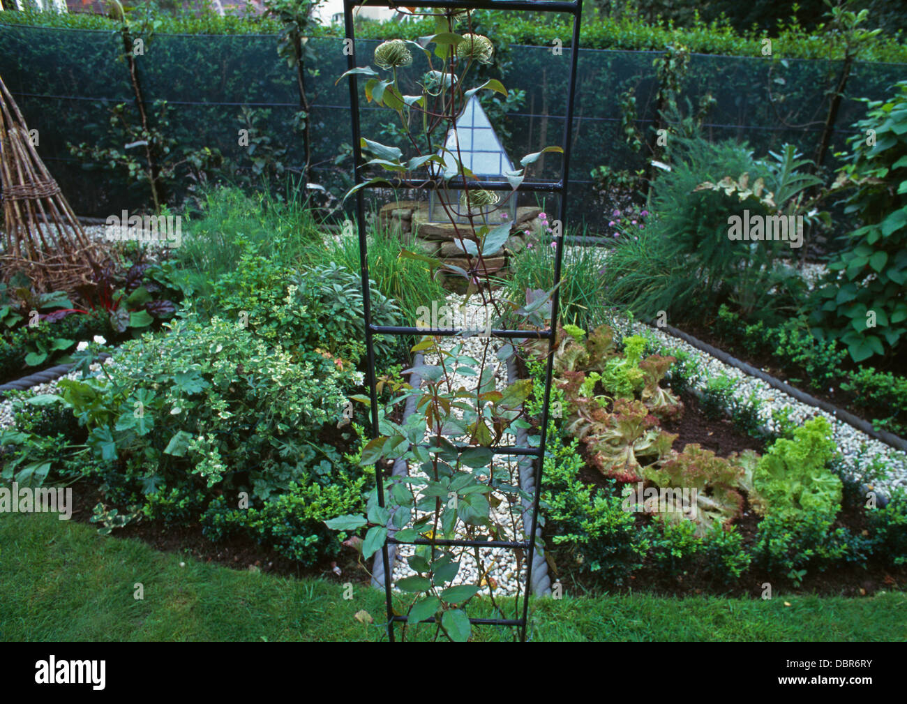 Arche m tallique au potager bien entretenu avec des rang es de