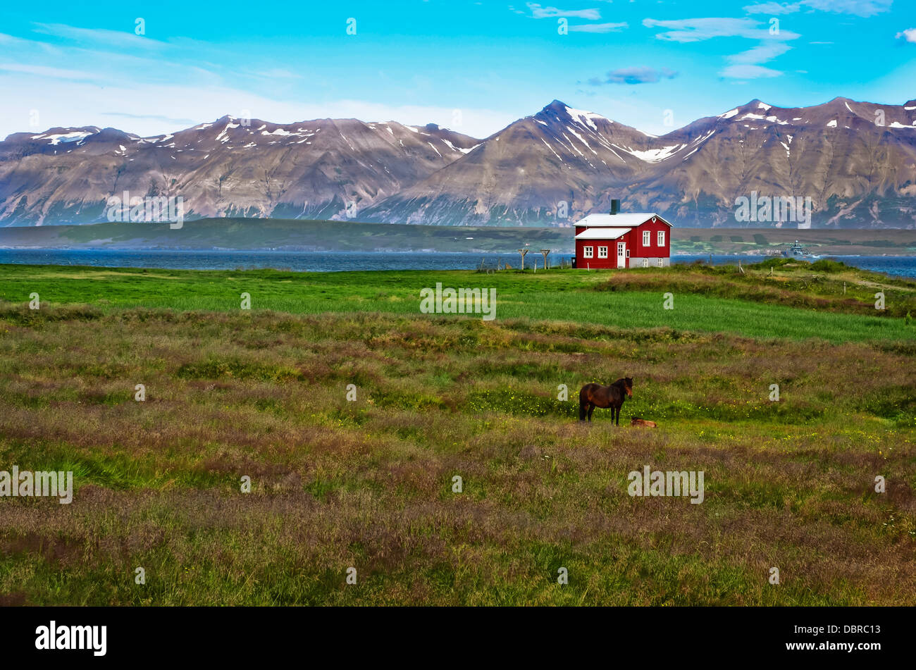 L'Islande maison rouge dans la prairie avec un cheval, l'arrière-plan la montagne Banque D'Images