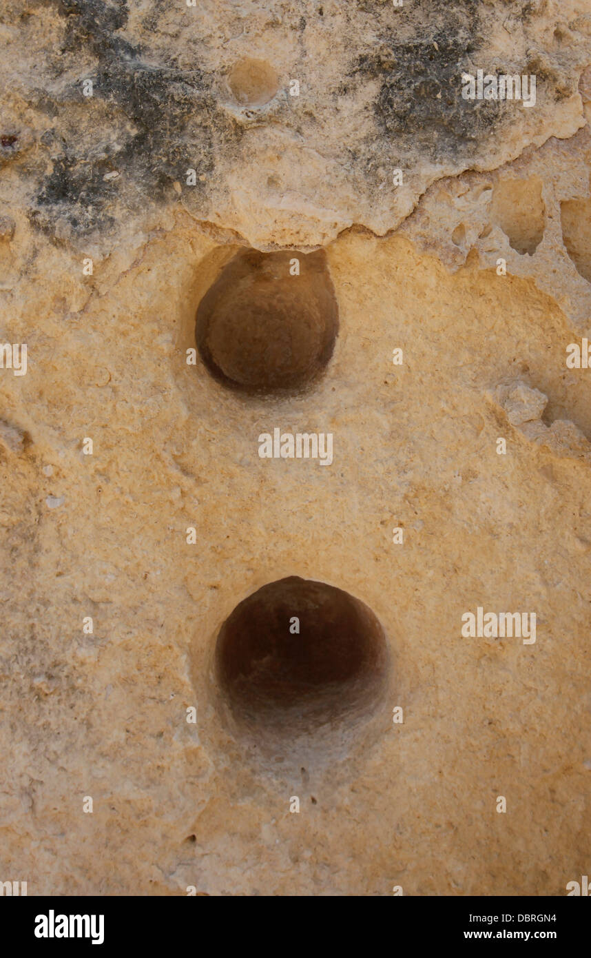 Trous dans la pierre dans les temples de Ggantija complexe de temples mégalithiques datant de l'époque néolithique de l'âge de pierre (c. 3600–2500 av. J.-C.), situé à l'extrémité du plateau de Xagħra dans l'île de Gozo, l'île sœur de Malte Banque D'Images