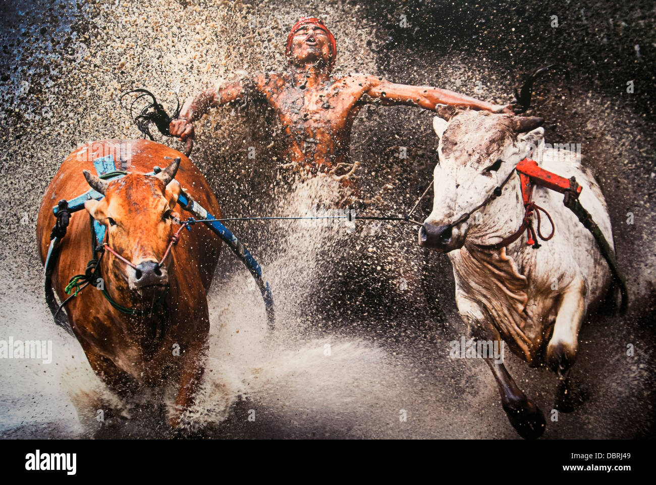 World Press Photo 2013 Amsterdam Banque D'Images