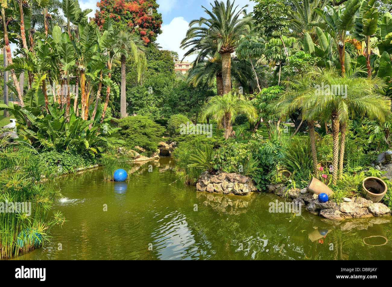 Petit étang entre arbres et palmiers au milieu de parc tropical urbain à Monte Carlo, Monaco. Banque D'Images