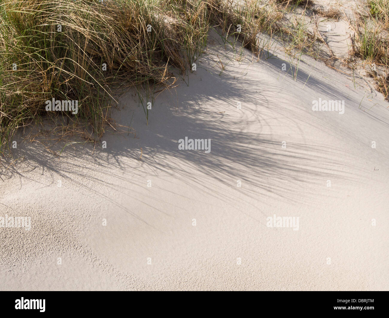 En dehors de la plage de Sola Stavanger, l'un des nombreux passages sablonneux sur la côte sud ouest de la Norvège, des dunes de sable blanc et l'ammophile Banque D'Images