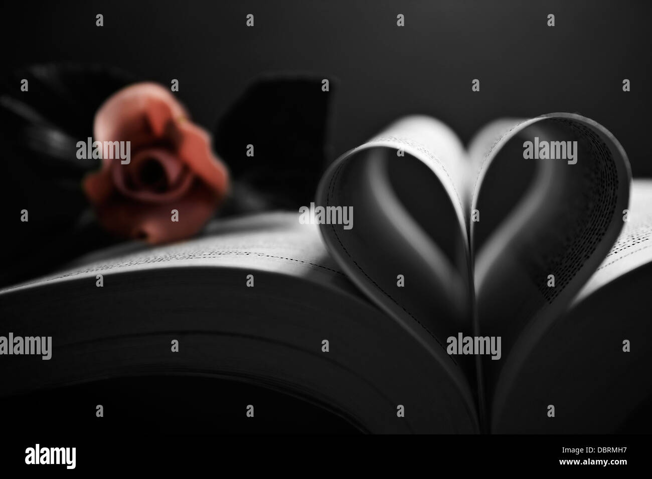 Forme De Coeur Avec Des Pages D Un Livre Et Selective Rose Rose En Arriere Plan Noir Et Blanc Amour Poesie Romantique Poeme Photo Photo Stock Alamy
