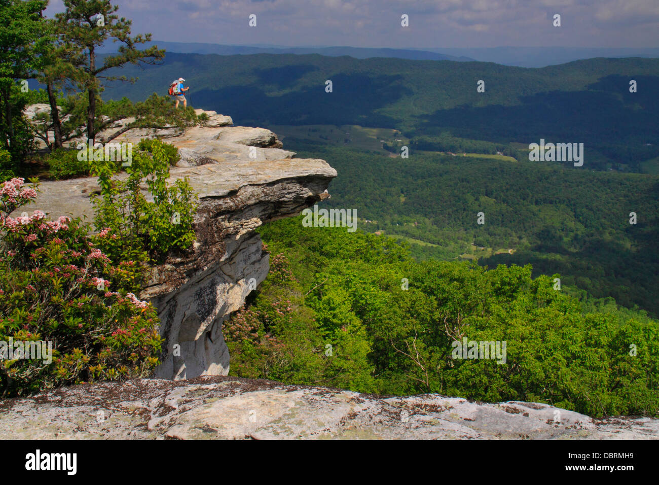 Bouton de McAfee, sentier des Appalaches, Roanoke, Virginie, USA Banque D'Images