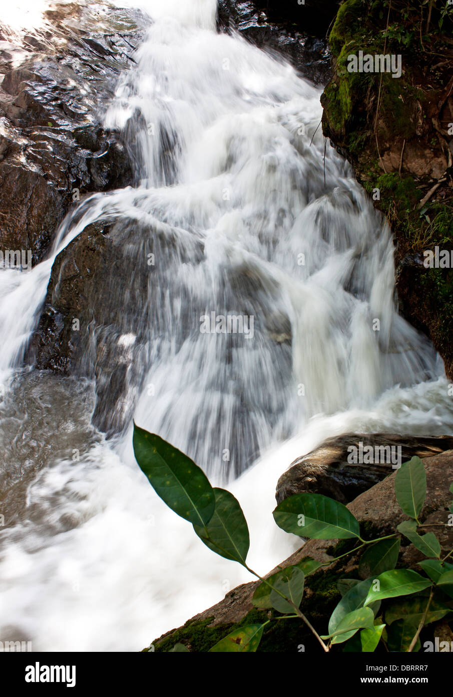Thaïlande Chiang Mai Mae Sa nature Cascades Banque D'Images