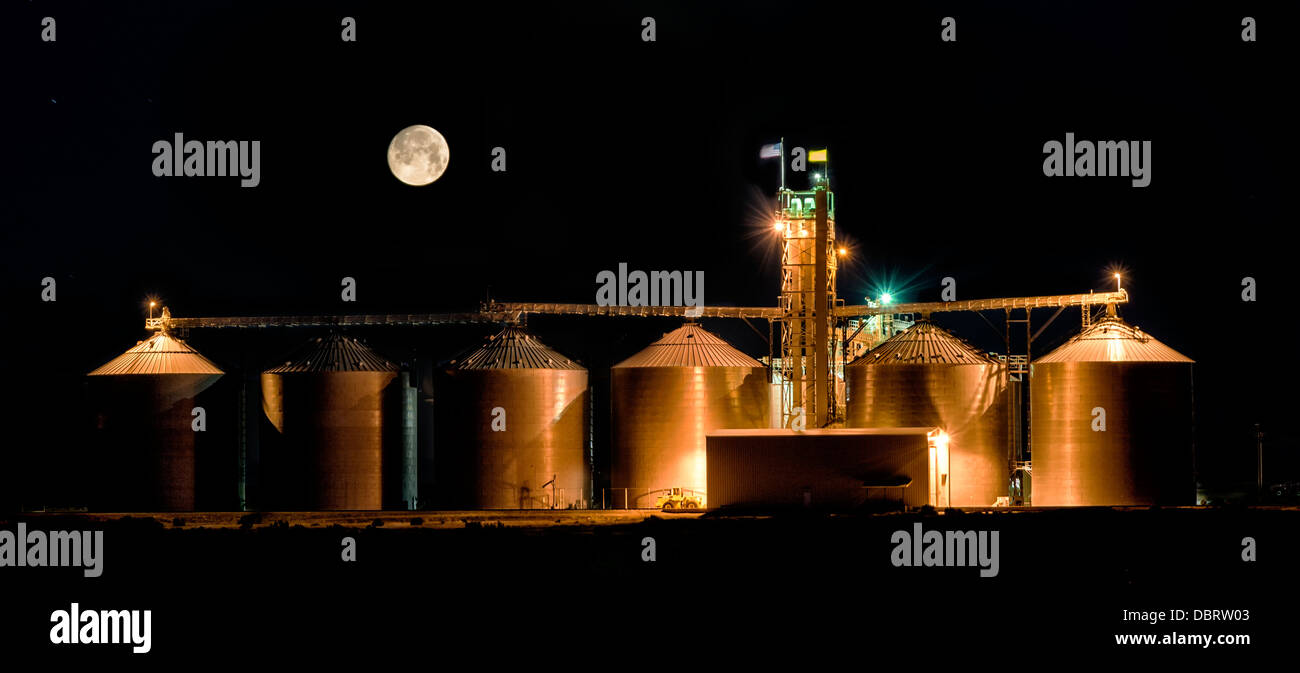 La photographie de nuit de l'entreposage des céréales dans le pays Banque D'Images