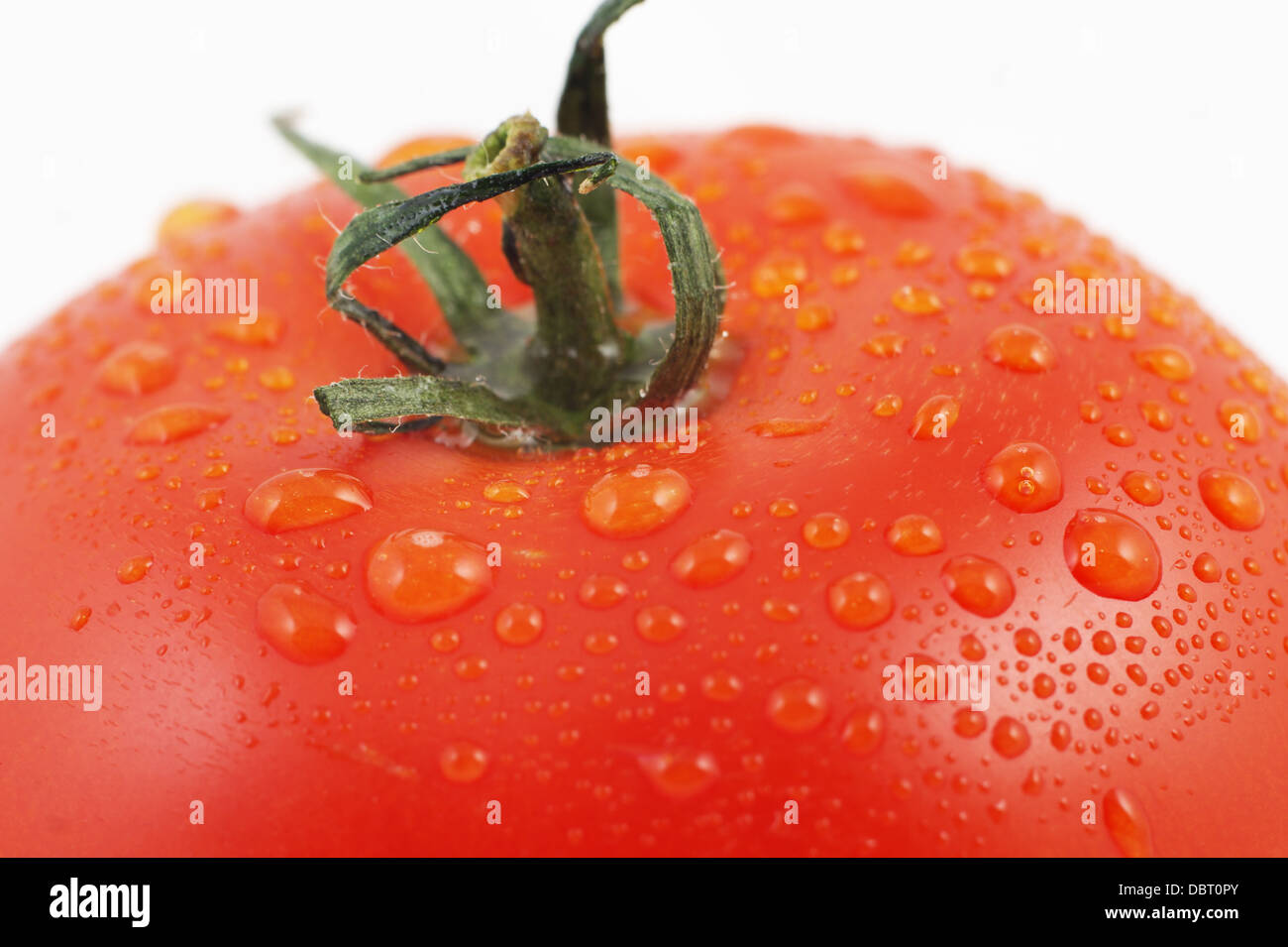 Gros plan de tomate mûre Banque D'Images
