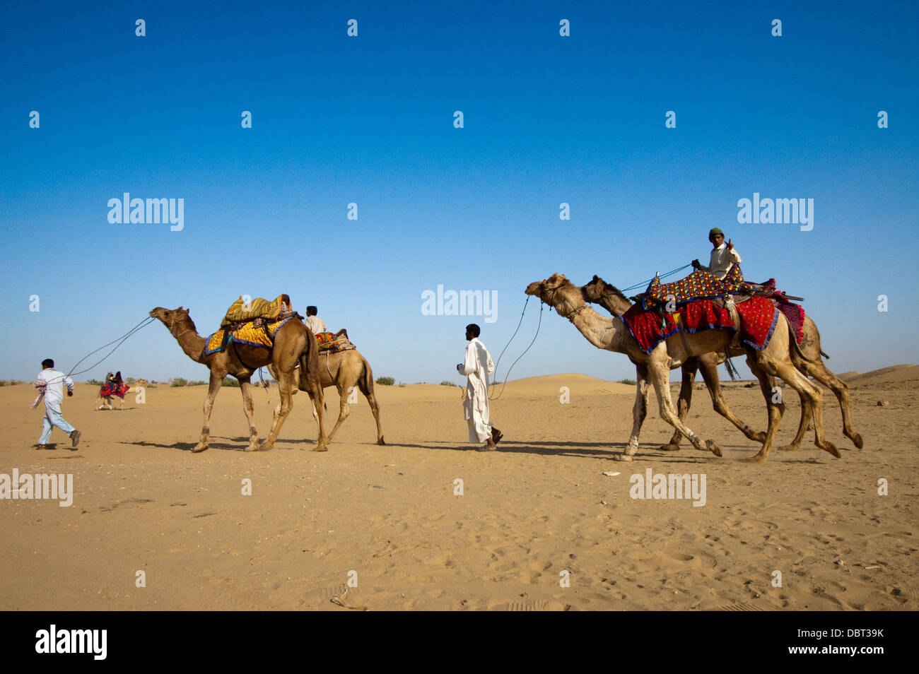 Au chamelier sur des dunes de sable de Sam Mai 25, 2013 à Jaisalmer, Inde. Banque D'Images