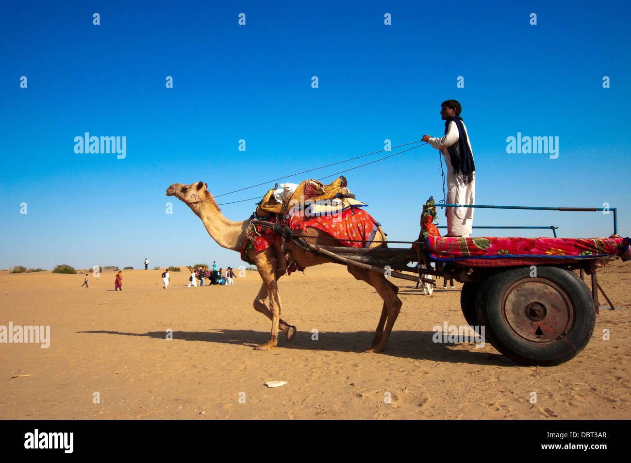 Au chamelier sur des dunes de sable de Sam Mai 25, 2013 à Jaisalmer, Inde. Banque D'Images