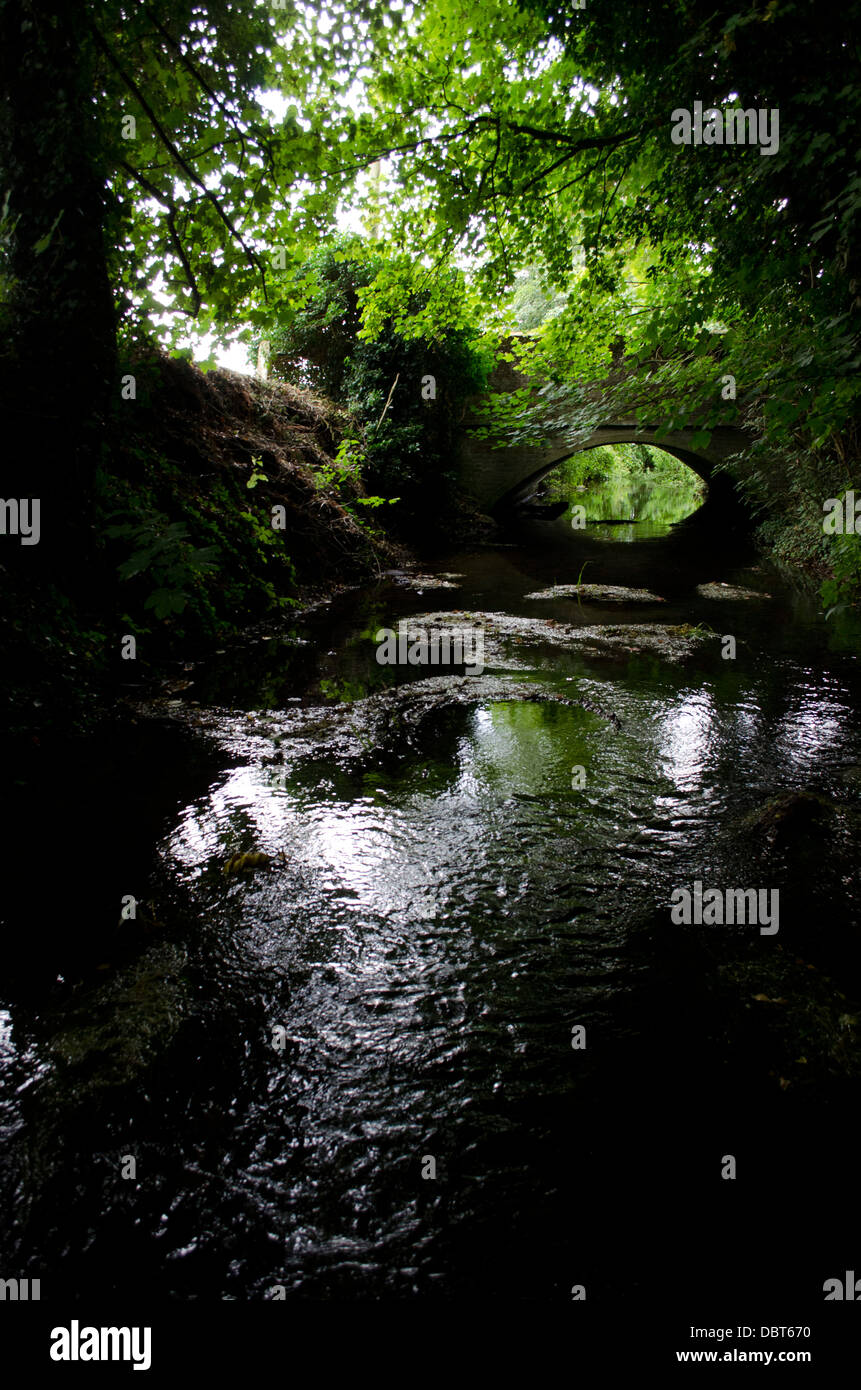 Rivière Noire Banque D'Images