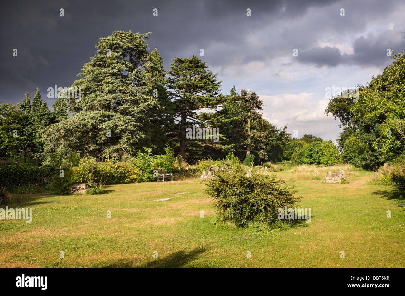 L'Abbaye de Jervaulx, Yorkshire du Nord. Photo prise à la place de l'Église vers l'extrémité est. Banque D'Images
