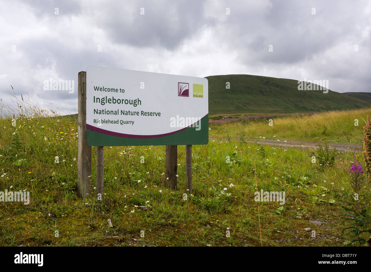 Inscrivez-vous à la carrière Ingleborough National Nature Reserve à Ribblehead, Yorkshire du Nord. Banque D'Images