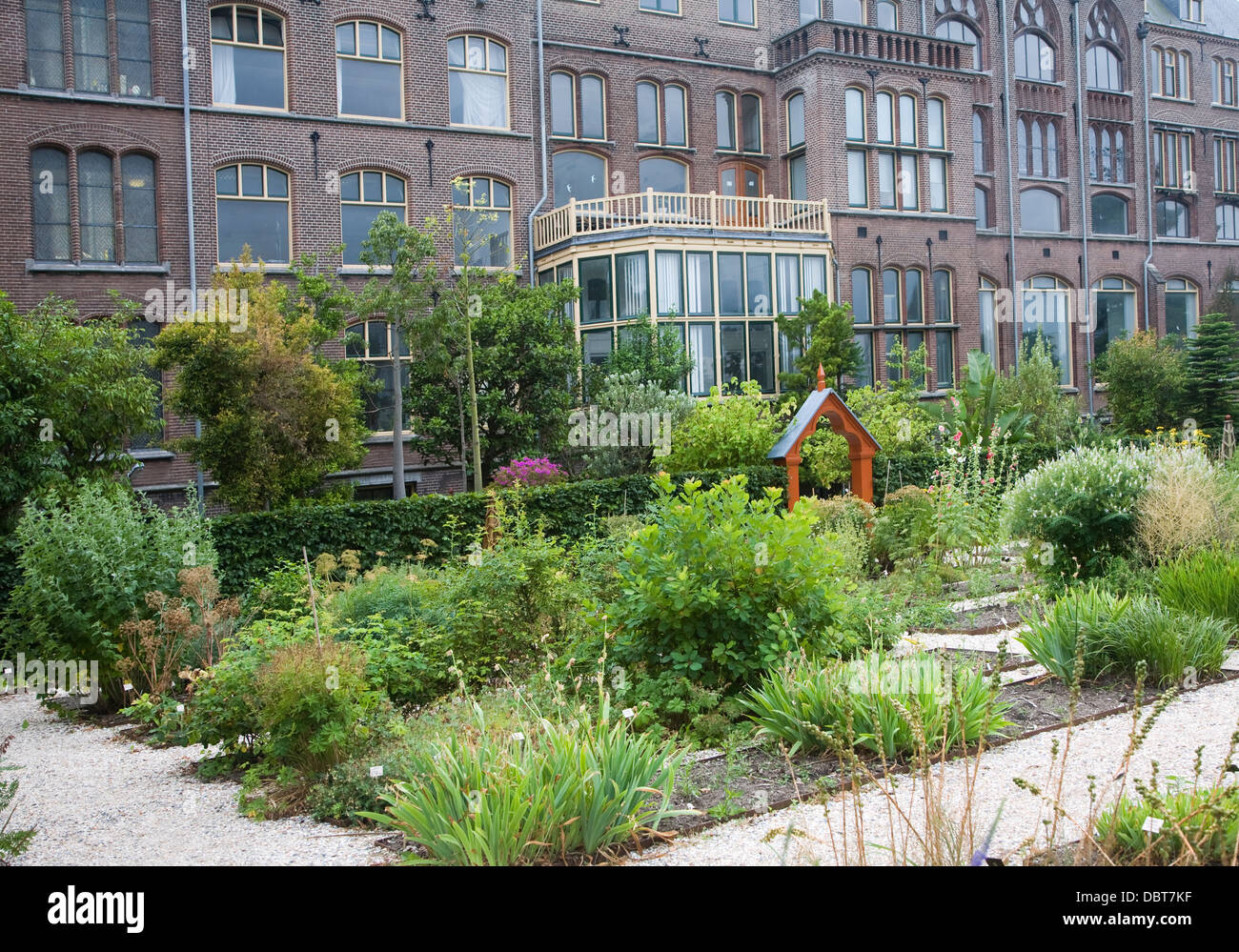 Jardin Botanique Hortus Botanicus Leiden Pays-Bas Banque D'Images