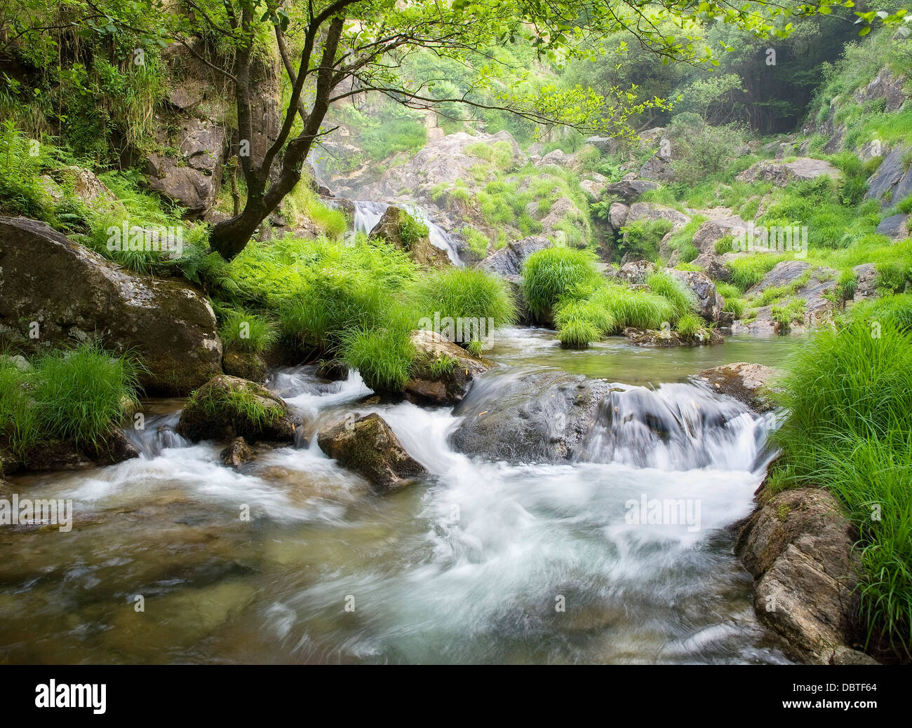 Belle rivière en Galice. Cette rivière s'appelle Belelle et est situé dans la région de Neda, Galice, Espagne. Banque D'Images