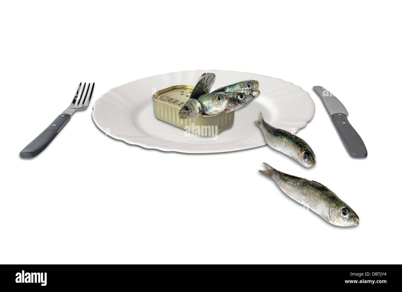 Les sardines en boîte, une assiette et des couverts isolé sur fond blanc Banque D'Images