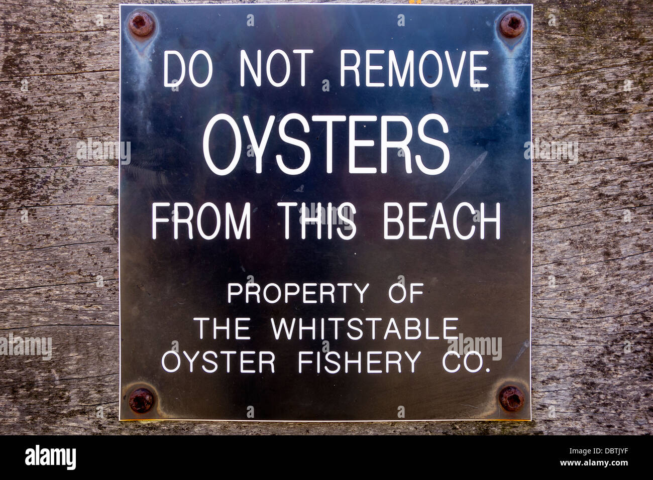 Panneau d'avertissement de la pêche des huîtres de Whitstable Whitstable Kent Beach Banque D'Images