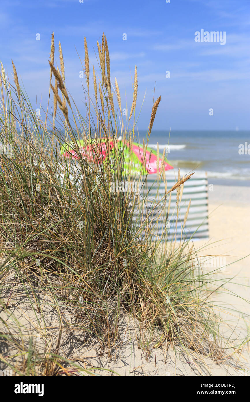 Vue de la plage des dunes de sable. L'accent sur le premier plan d'herbe et de dune. Arrière-plan avec un parasol de plage et d'eau, Banque D'Images