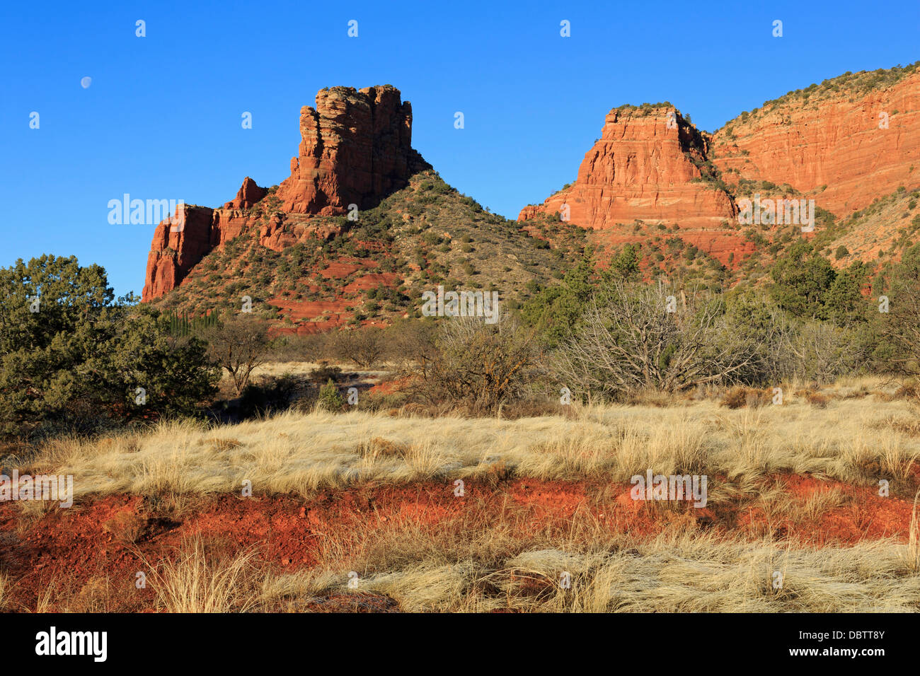 Les formations de roches rouges de Sedona, Arizona, États-Unis d'Amérique, Amérique du Nord Banque D'Images