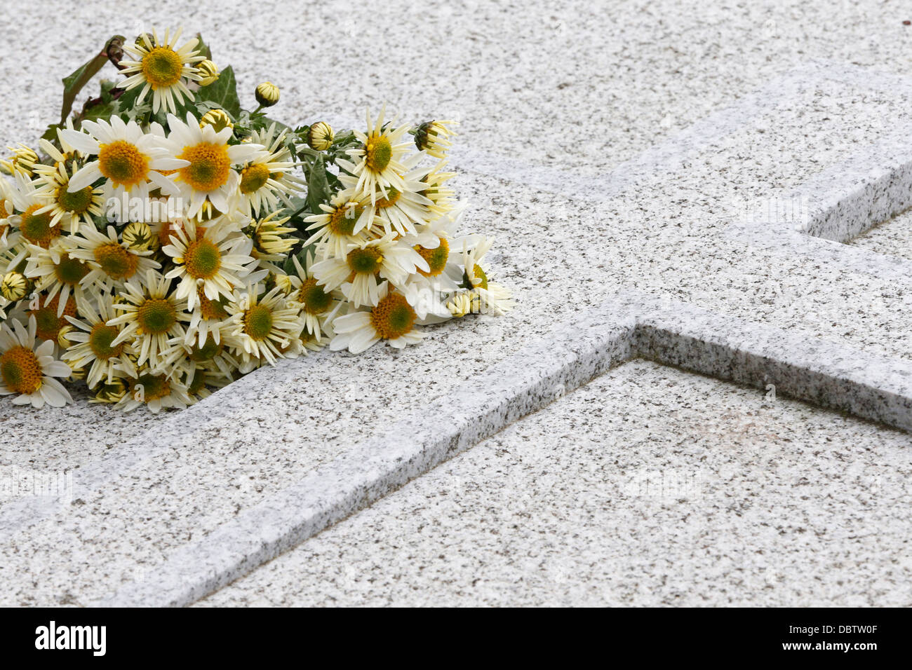 Bouquet de marguerites sur une pierre tombale, Paris, France, Europe Banque D'Images