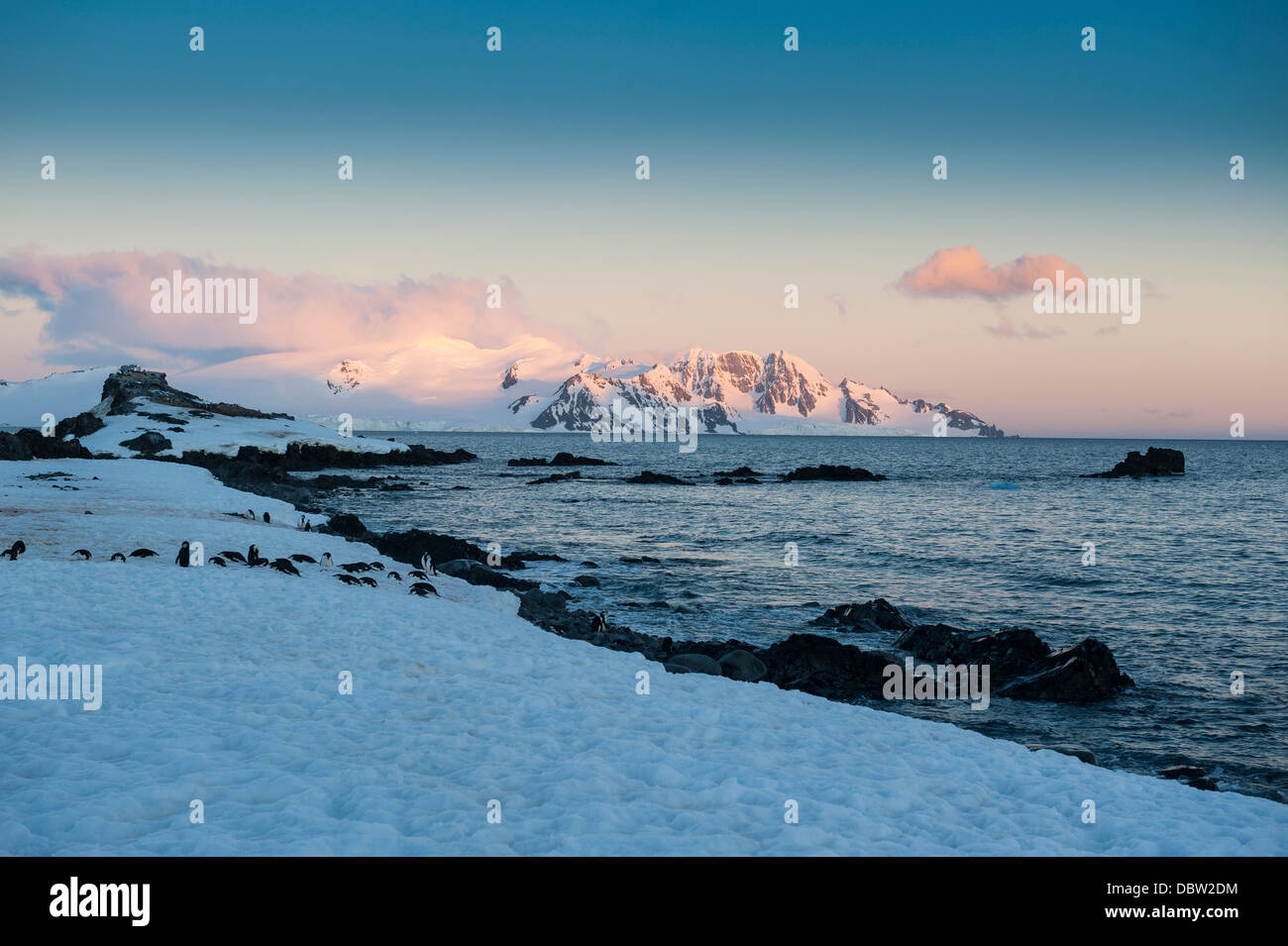 Coucher du soleil à Half Moon Bay, Îles Shetland du Sud, l'Antarctique, régions polaires Banque D'Images