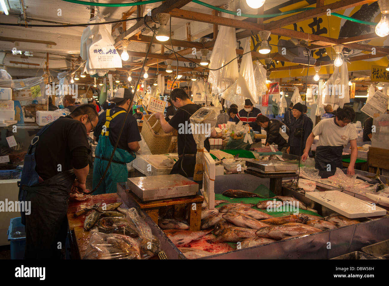 Le marché aux poissons de Tsukiji, Tokyo, Japon, Asie Banque D'Images