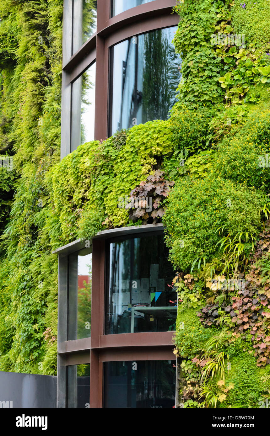 Jardin vertical, musée du quai Branly, Paris, France. design : Patrick blanc Banque D'Images