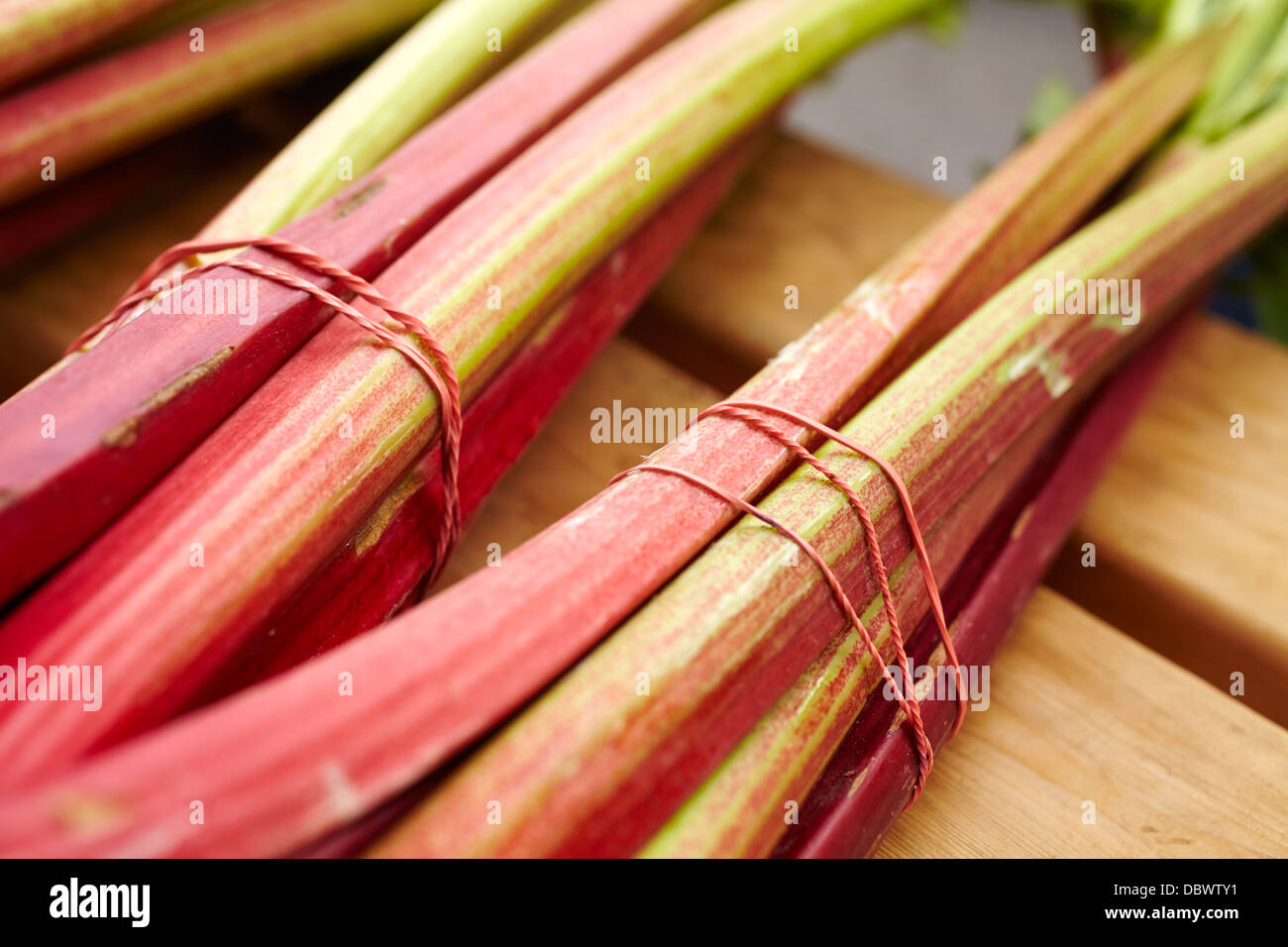 Rhubarbe fraîche à un nouveau Hampshire farmer's market Banque D'Images
