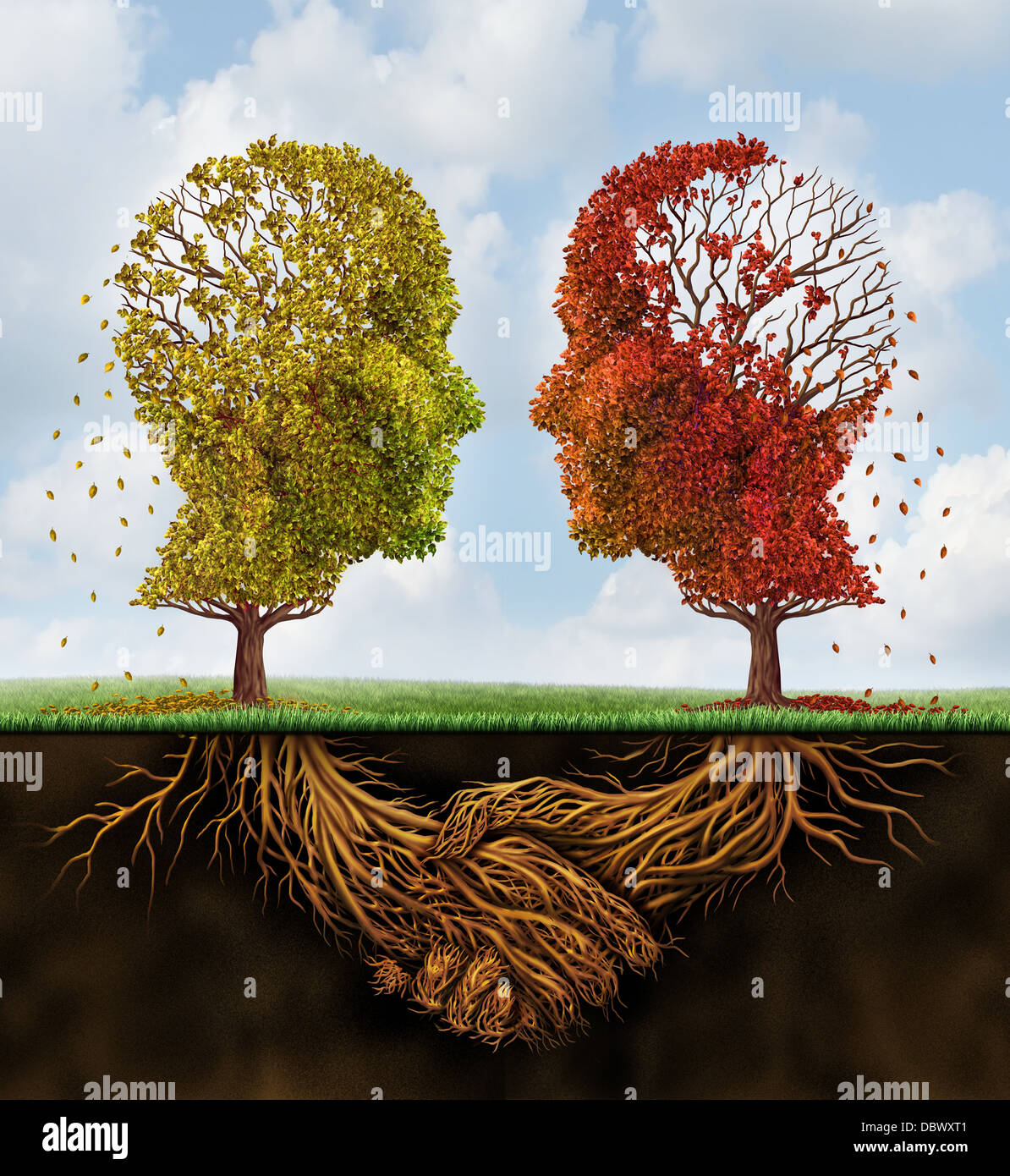 La décoloration de l'entreprise concept avec deux arbres d'automne les feuilles perdent en forme de têtes humaines dont les racines sous terre en forme de poignée de main comme un accord de l'équipe qui perd de la force d'un ciel sumer. Banque D'Images